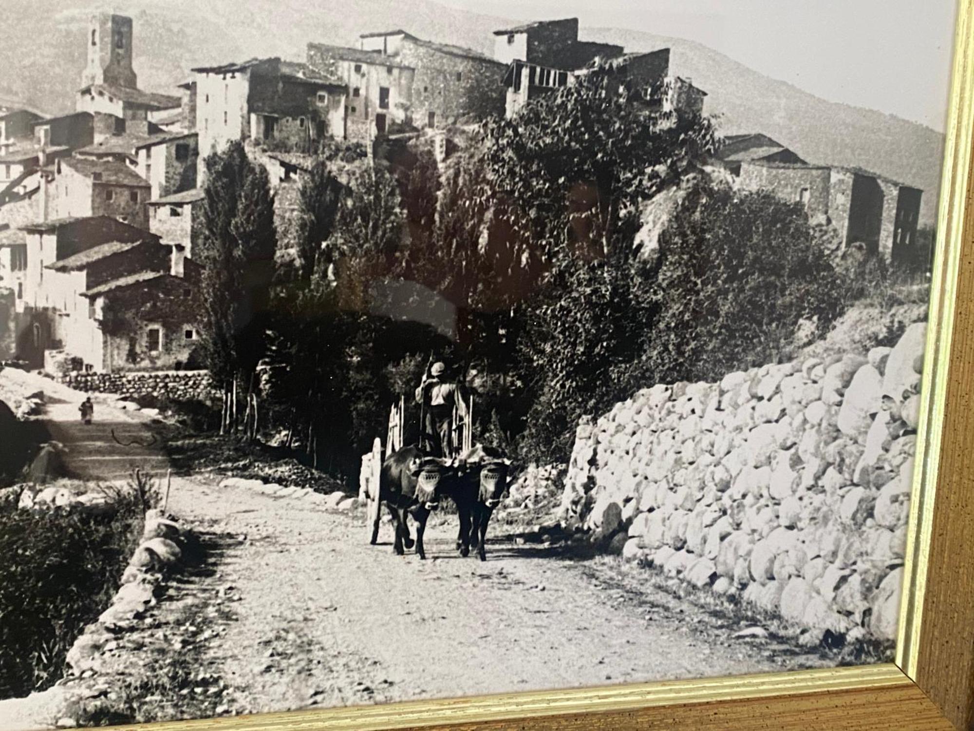 Apartmán Casa Casteller Arfa Exteriér fotografie